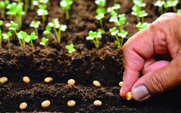 About Us - profession